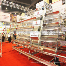 chicken layer cage for sale with chicken cage in China/chicken cage